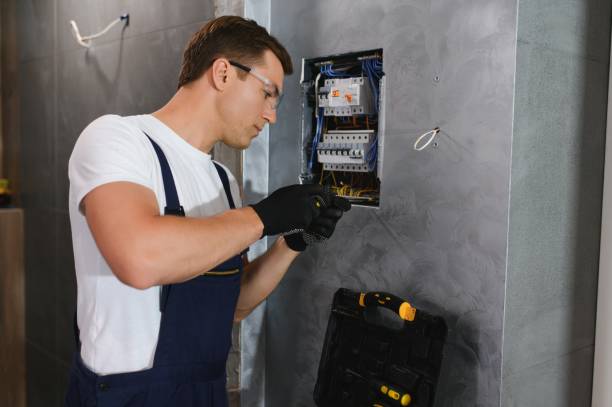 Best Electric Panel Repair  in Oak Point, TX